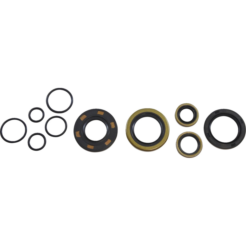 Vintco Oil Seal Kit - KOS013 Kawasaki KX 125 1978-1979