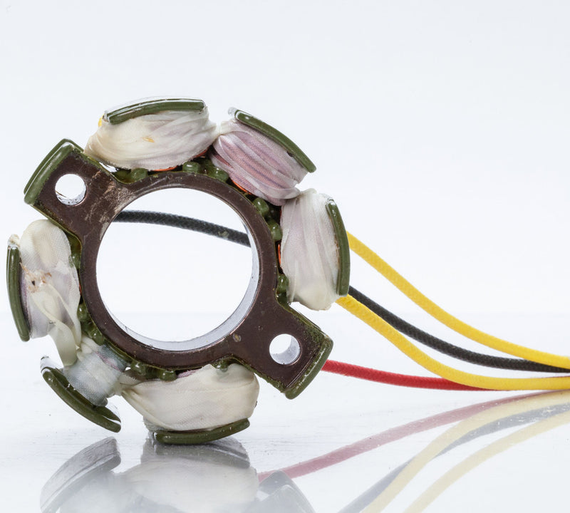 Rick's Motorsport Electric 27-210099H 21-0099H STATOR