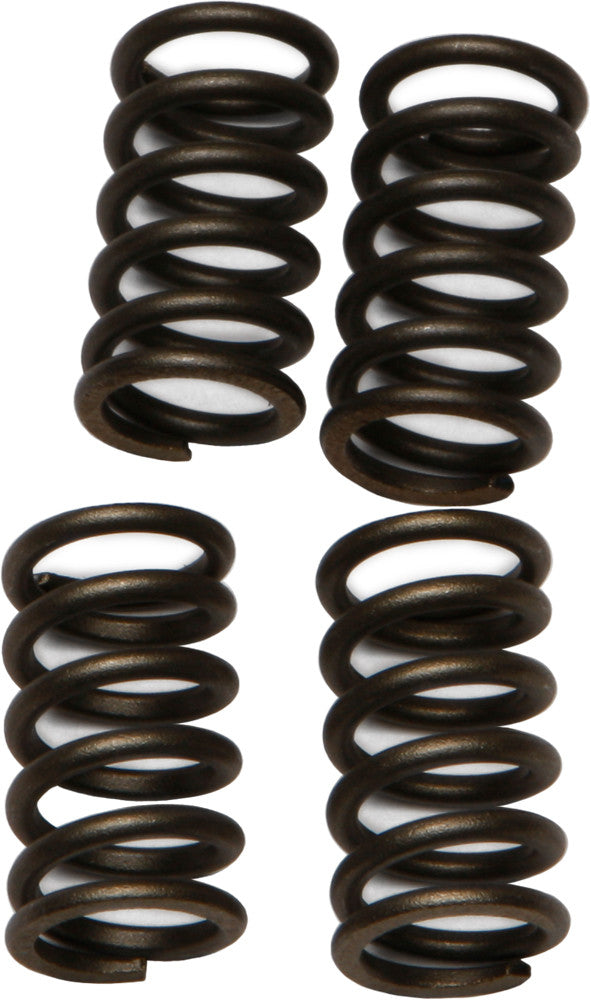 EBC Clutch Springs - CSK4 Suzuki 600F Katana / 650SE 1996-2009