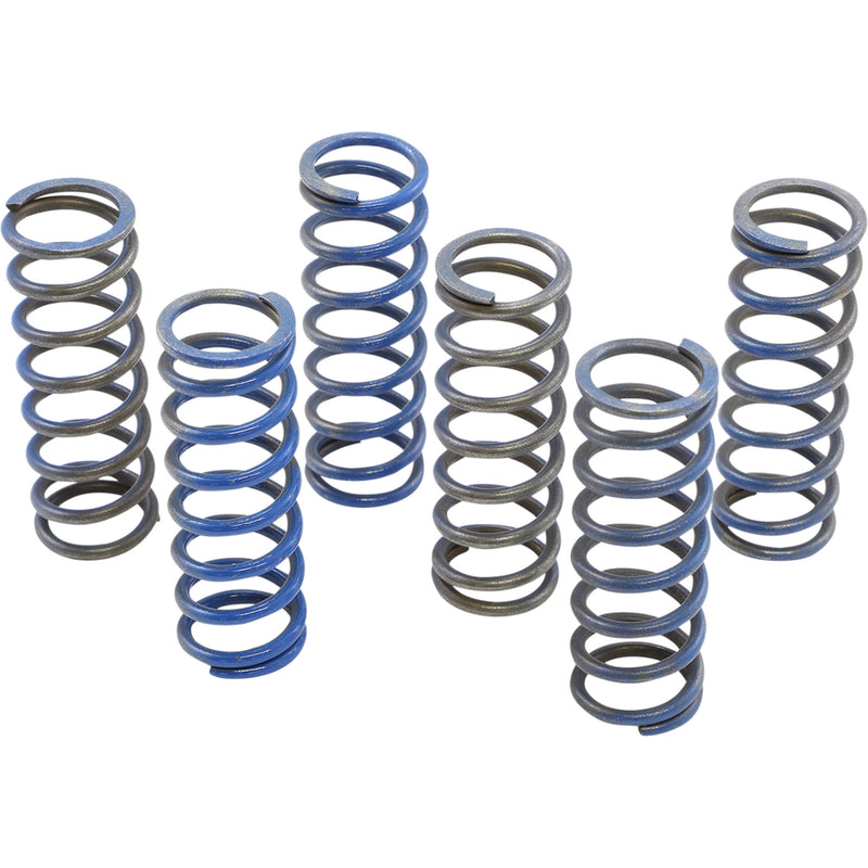Hinson Racing Spring Kit - CS130-6-8602 Honda CRF450R / CRF450RWE / CRF450RX 2021-2026