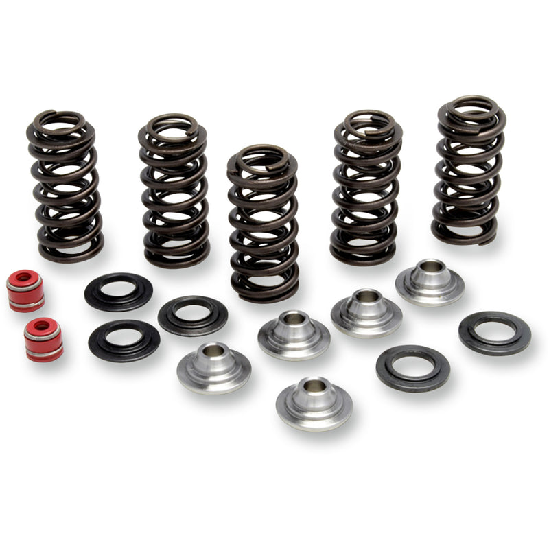 Kibblewhite Spring Kit - 80-80066 Yamaha WR 250 / YZ 250 2001-2013