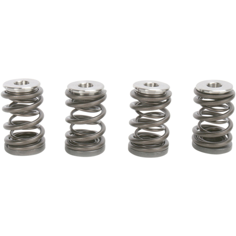 KIBBLEWHITE 0926-1696 96-96000 Valve Spring Kit Spring Kit