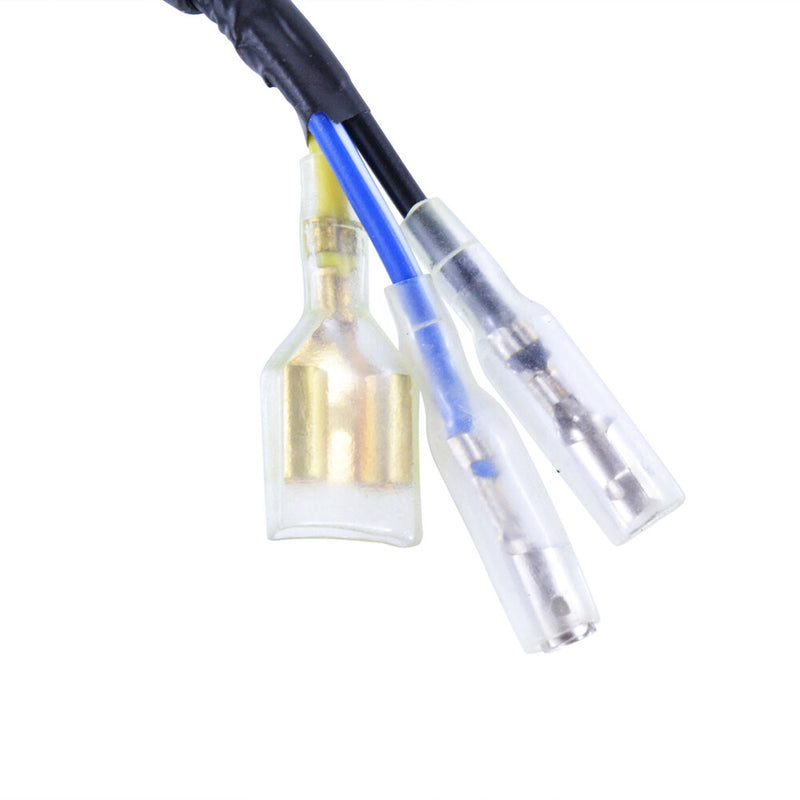 Rm Stator Stator Lighting Kit Stator+regulator+pickup - RMS900-106771 Honda XR100R / XR80R / CRF100F / CRF80F 1992-2009