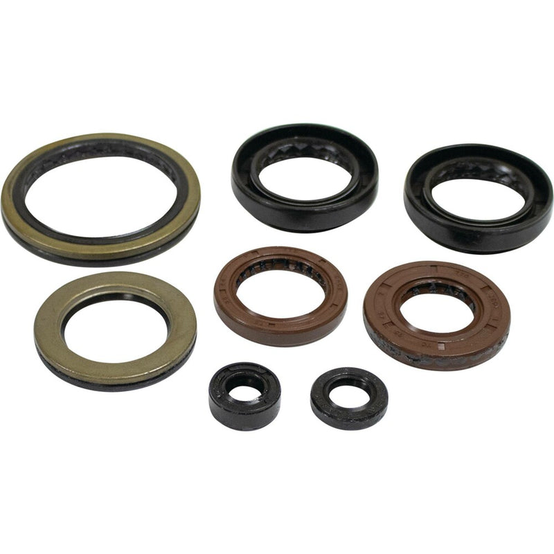 Vertex OIL Seal Kit A C - 822402 Arctic Cat ATVs 2008-2018