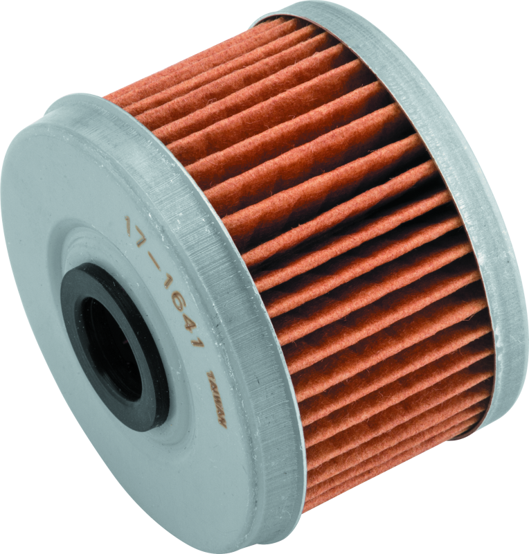 BikeMaster 171641 Honda BM-113 Oil Filter - Black - Photo - Primary
