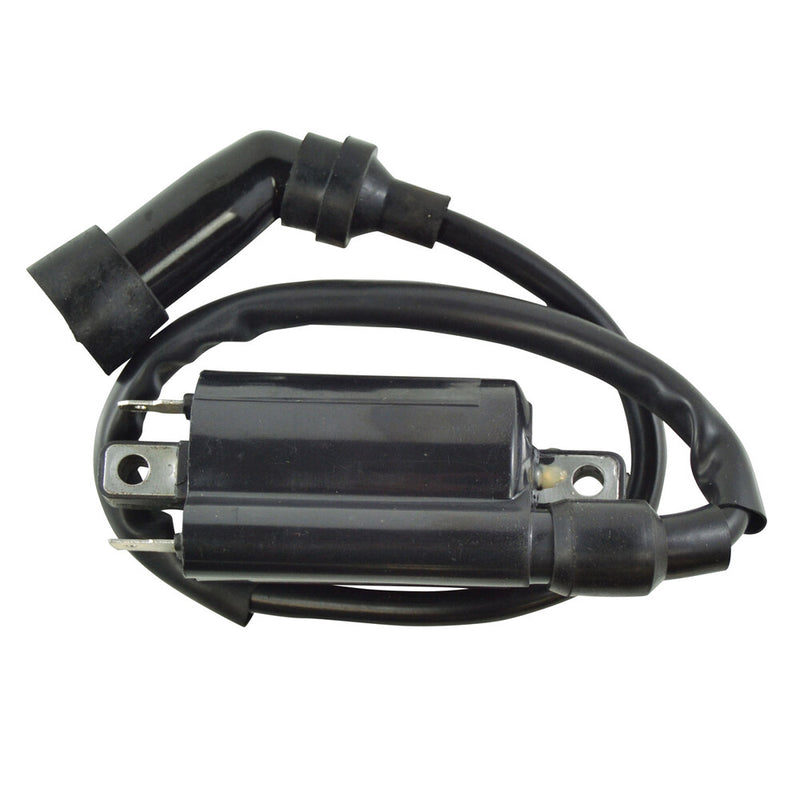 Rm Stator External Ignition Coil W Spark Plug CAP - RM06008 For Suzuki 200SE / DR200SE 1996-2009 | Yamaha 600 1990-1995