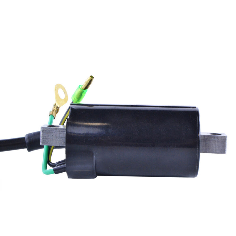 Rm Stator 97-0060 RM06056 EXTERNAL IGNITION COIL