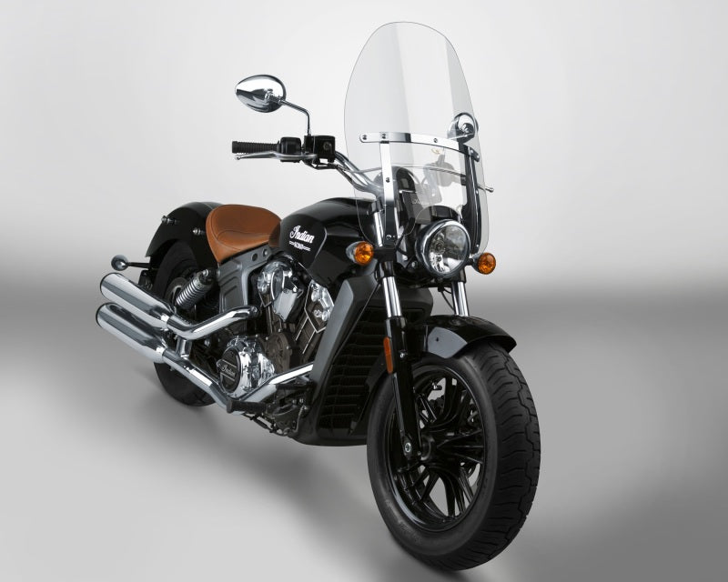 National Cycle N2220 Custom Heavy Duty - User 1