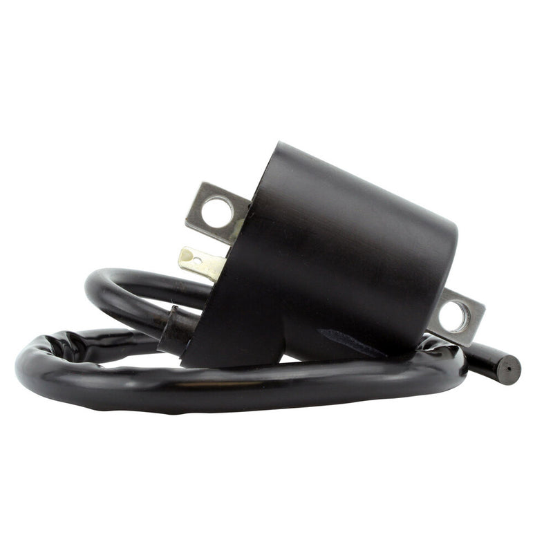 Rm Stator 97-0057 RM06035 EXTERNAL IGNITION COIL
