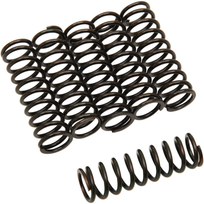 BARNETT 2012-361 501-42-06031 Clutch Spring Kit Clutch Springs