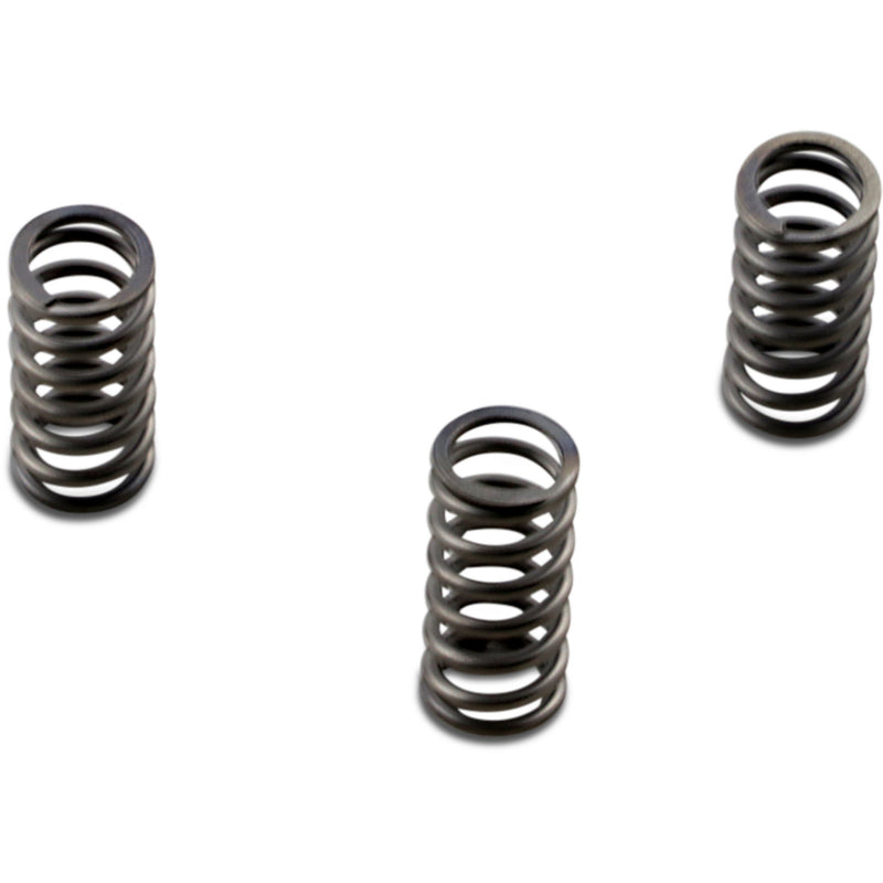 EBC CSK Series Spring Set - CSK235 For Harley Tri / Electra Glide / Touring / Softail 2014-2017