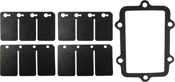 Sp1 Reed Valve Rebuild Kit S-D - SM-07161C Ski-Doo Snowmobiles 2003-2007