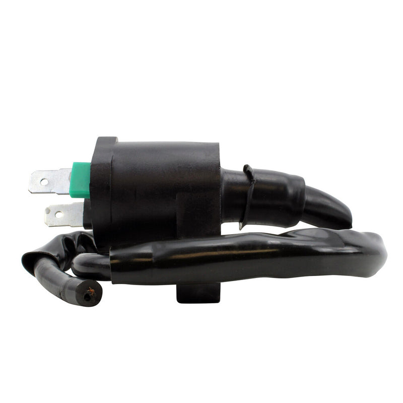 Rm Stator 97-0055 RM06025 EXTERNAL IGNITION COIL