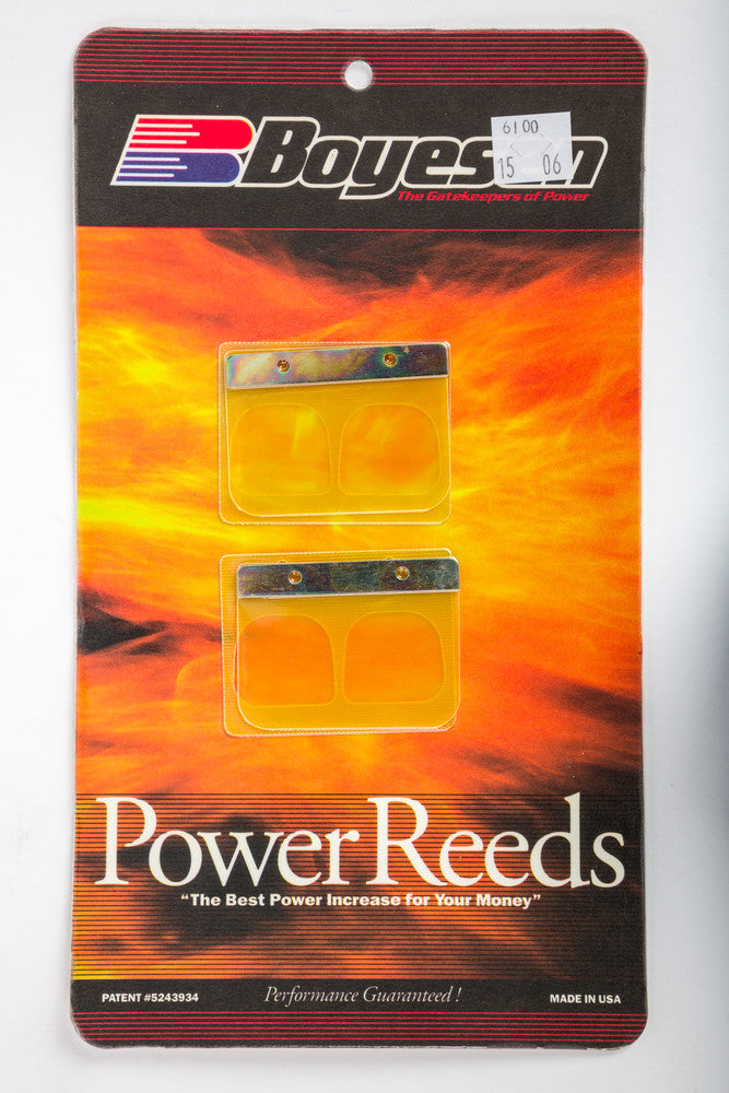 Boyesen Motorcycle Reeds - 6100 Kawasaki KX 125 2001-2002