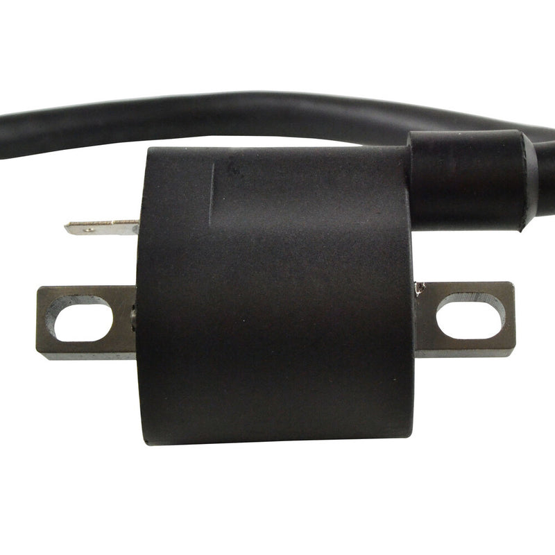 Rm Stator External Ignition Coil W Spark Plug CAP - RM06049 Yamaha Rhino / Viking 700 4x4 / Viking 2011-2018