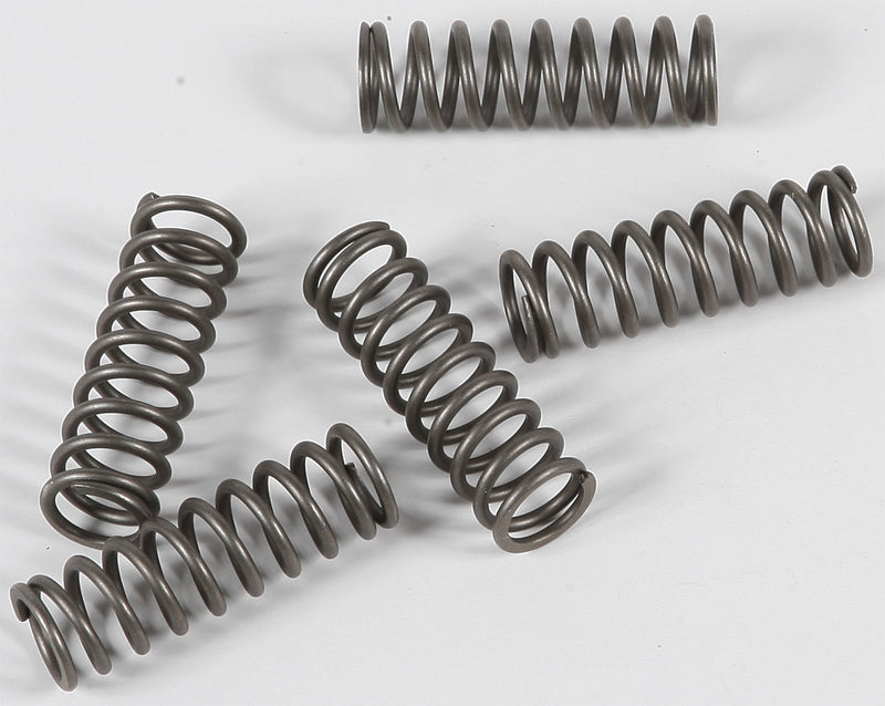 EBC Clutch Springs - CSK124 For Kawasaki Ninja 2006-2010 | Suzuki 1250SA Bandit / GSF1250SA Bandit 2016