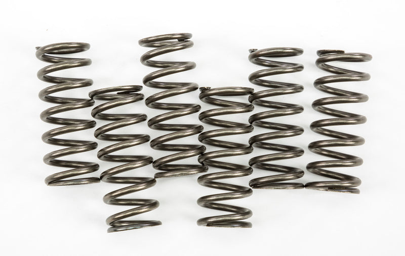 Ebc Clutch Springs - CSK221 KTM Dirt Bikes 2015-2016