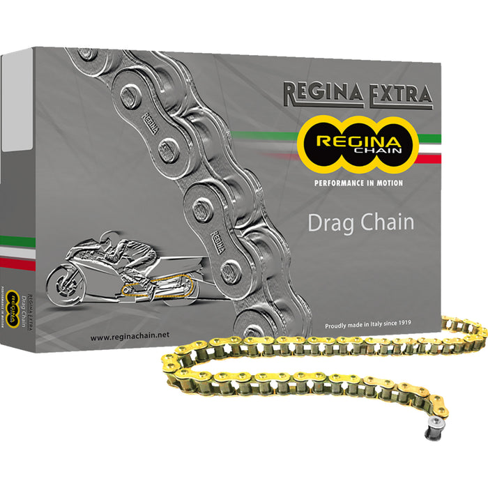 REGINA 1221-0110 135DR/1000 520 DR Extra Drag Racing Chain 520 DR Extra - Drag Racing Chain - 120 Links