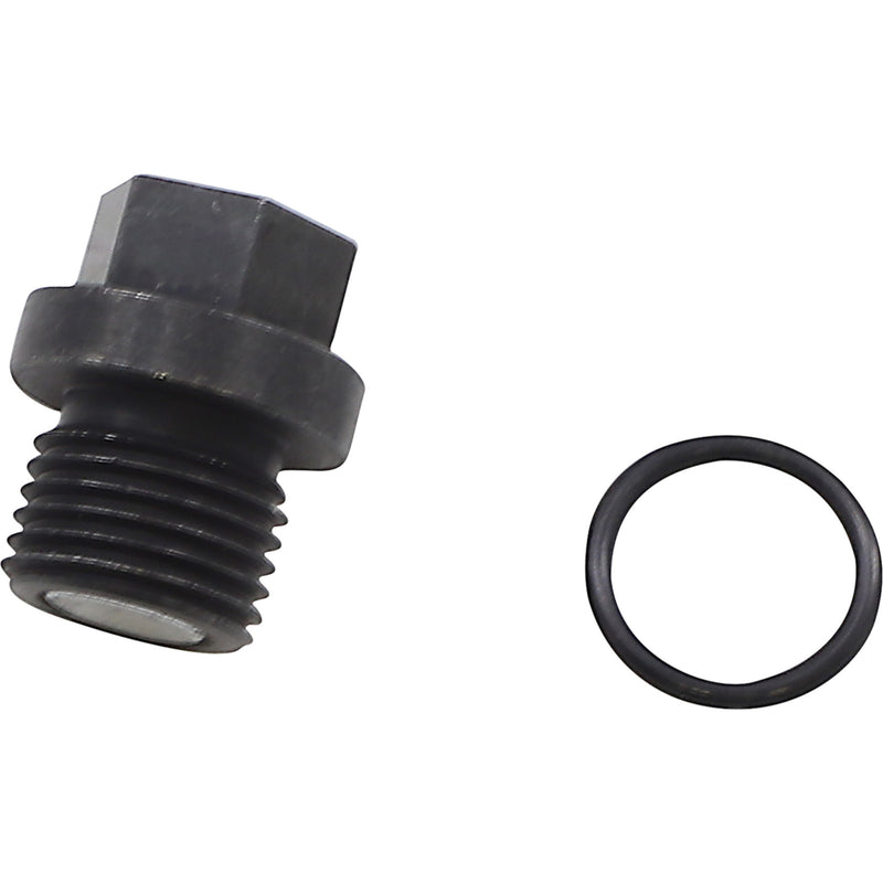 QUAD LOGIC 0920-0222 100-2386 Front Differential Drain Plug and o-ring