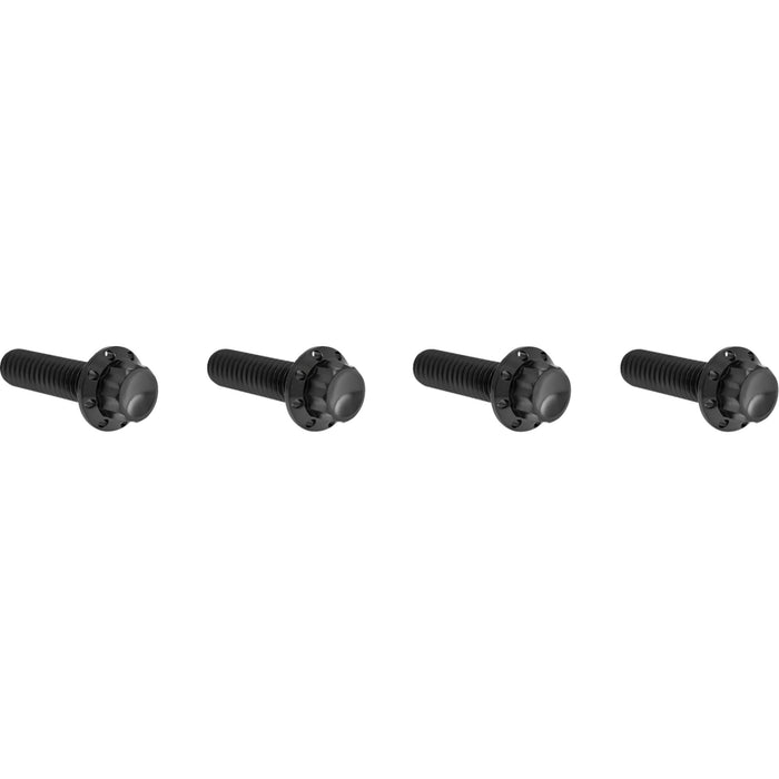ARLEN NESS 2401-1773 300-978 Bolt Kit - Transmission Top Cover - 12-Point - Titanium - Black