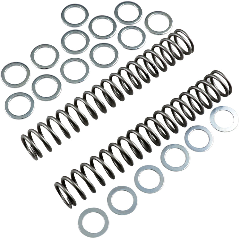 Race Tech Spring - FRSP S3825085 For MV Agusta 675 / 800 2013 | Ducati Sport 1000 2006