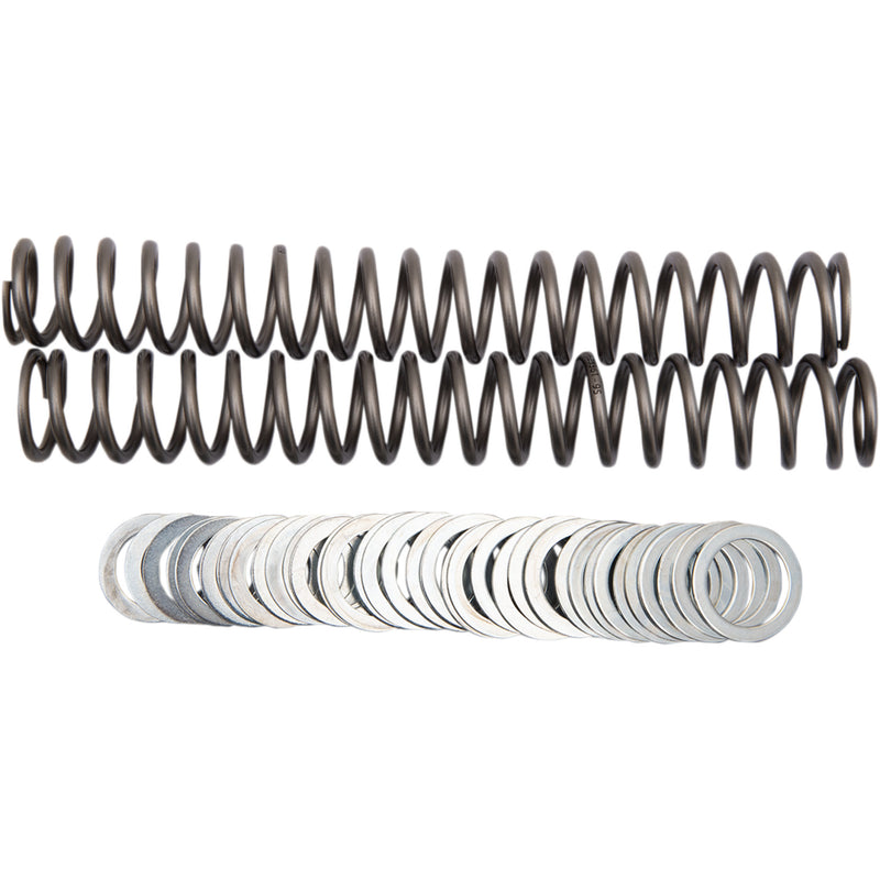 Race Tech Spring - FRSP S3827095 For Harley Sportster 2006-2017 | Ducati Motorcycles 1995-2011