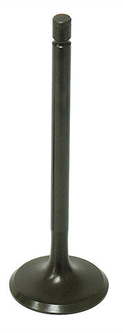 Bronco 183-09500 XU-09500I INTAKE VALVE