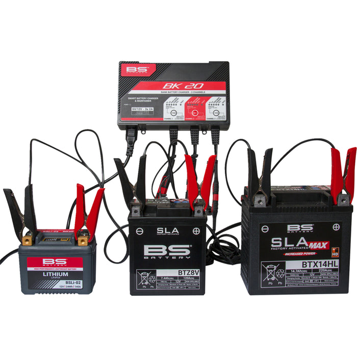 BS BATTERY 3807-0654 700554 Smart Bank Battery Charger and Maintainer with Reconditioning Function Charger - BK20 - 12V - 3 x 2A