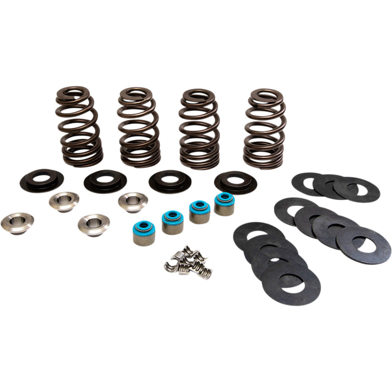 Feuling Oil Pump Corp. Econo Beehive Spring Kit - 1123 For Harley Sportster 2004-2020