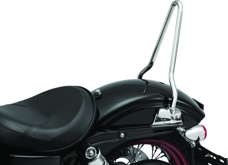 Kuryakyn 6583 Sissy Bar For Dyna Chrome - User 1