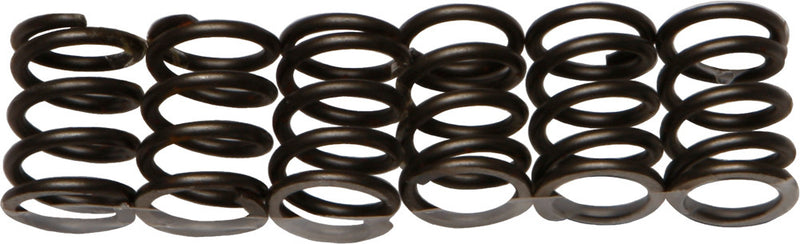 EBC Clutch Springs - CSK19 Honda CB550SC Nighthawk 1983