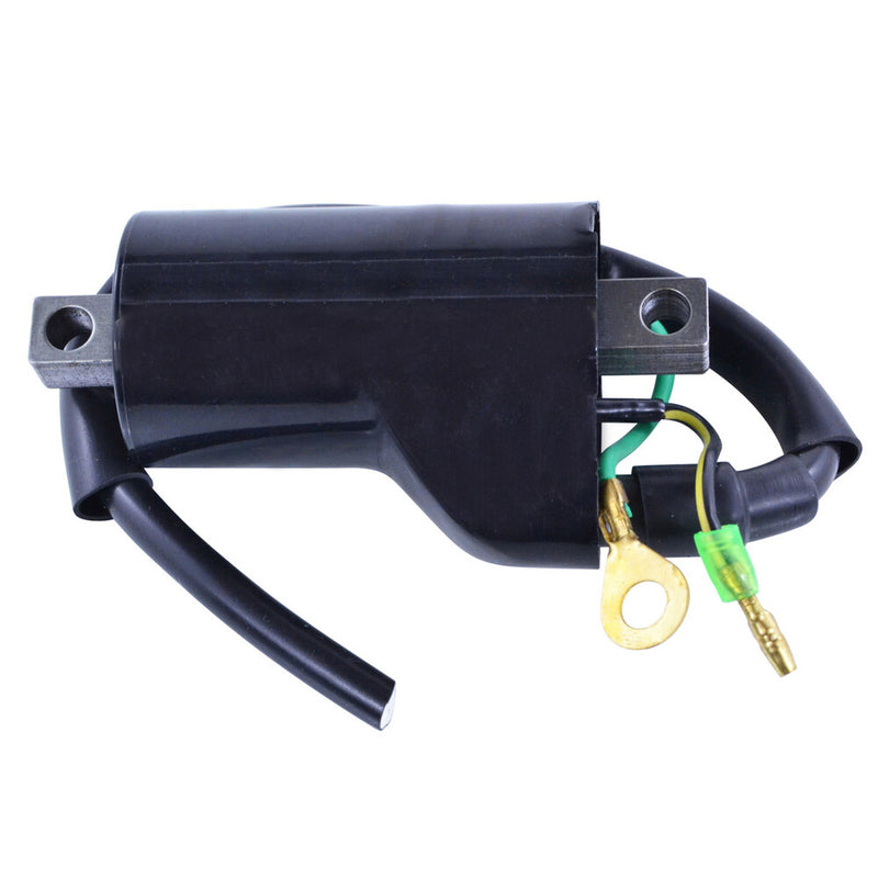 Rm Stator 97-0060 RM06056 EXTERNAL IGNITION COIL