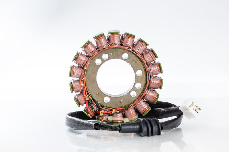 Rick's Motorsport Electric 27-21409 21-409 STATOR
