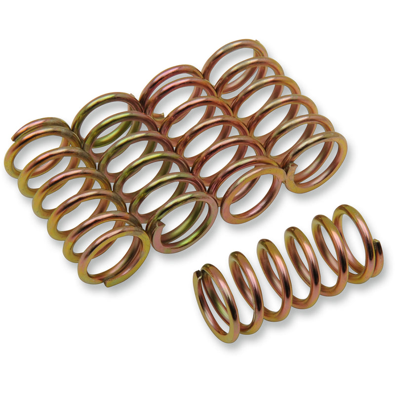 Barnett Spring Set - 501-45-05050 For Honda Pacific Coast / CB300F / CBR300R / Rebel 1989-1999 | Yamaha V-Star 650 1999-2016 | Suzuki 250 2001-2007