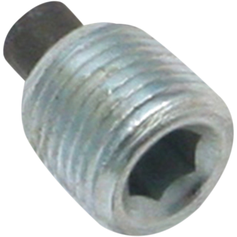 S&S CYCLE 0932-0171 50-8334 Plug magnetic  - 1/8" npt
