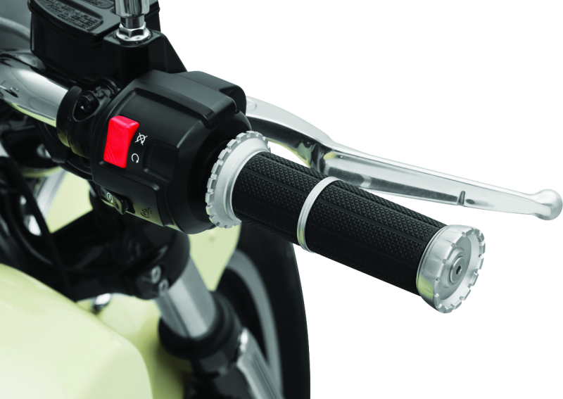 Kuryakyn 3588 Riot Grips Scout Silver - User 1