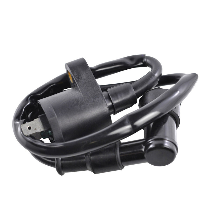 Rm Stator 97-0049 RM06001 EXTERNAL IGNITION COIL W/SPARK PLUG CAP
