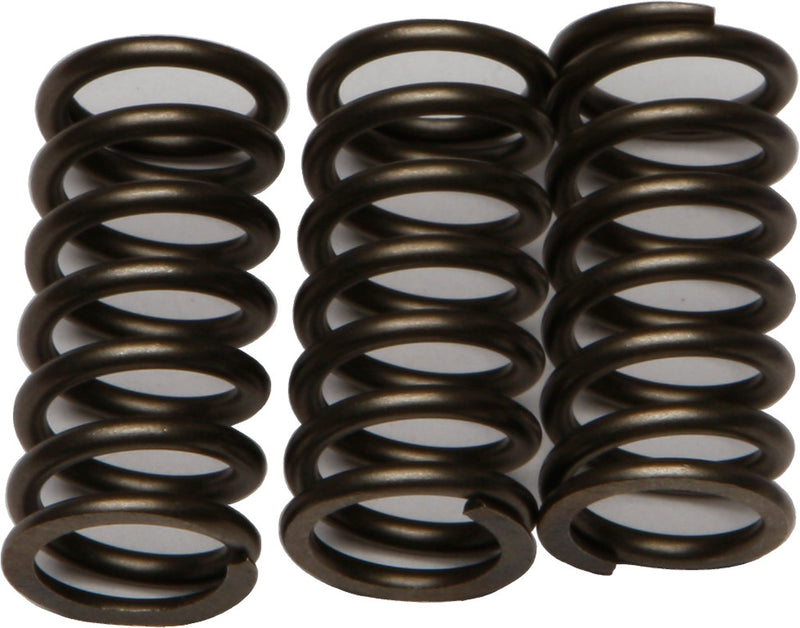EBC Clutch Springs - CSK203 Kawasaki Ninja 300R 2013-2016