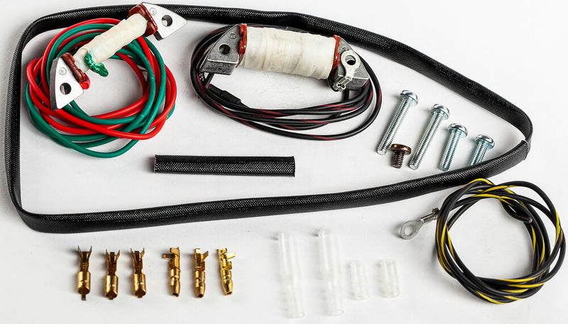 Rick's Motorsport Electric Stator Rebuild Kit - 22-704 Kawasaki Big Wheel 1987-1989