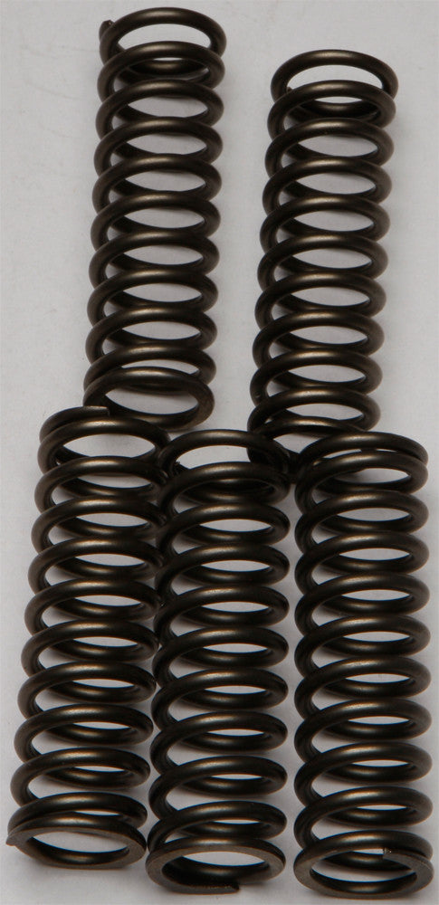 Ebc Clutch Springs - CSK169 Kawasaki ZX1000G Ninja / 1000 2014-2015
