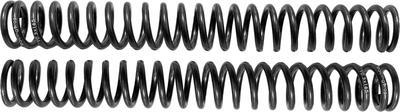 Harddrive 890-01250 R3050076 SCEPTER OPTION SPRING STD 39MM