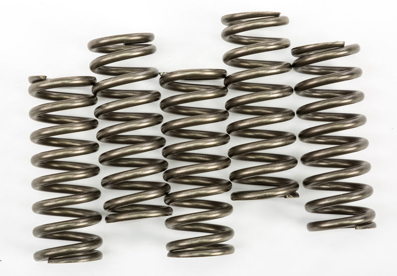 EBC Clutch Springs - CSK254 Honda Africa Twin / CRF1000L Africa Twin 2016-2017