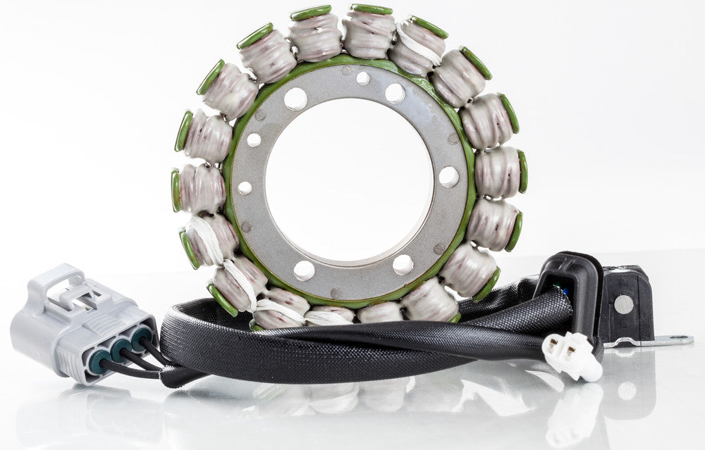 Rick's Motorsport Electric 27-21819 21-819 STATOR