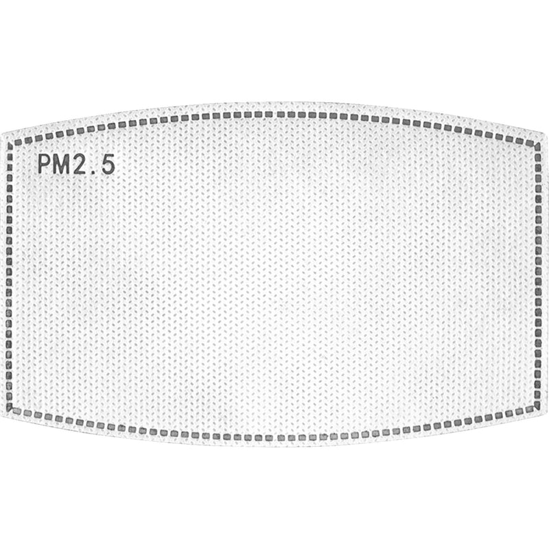 ZAN HEADGEAR 2502-0311 FILTER-01 Replacement PM 2.5 Filter 5 pack