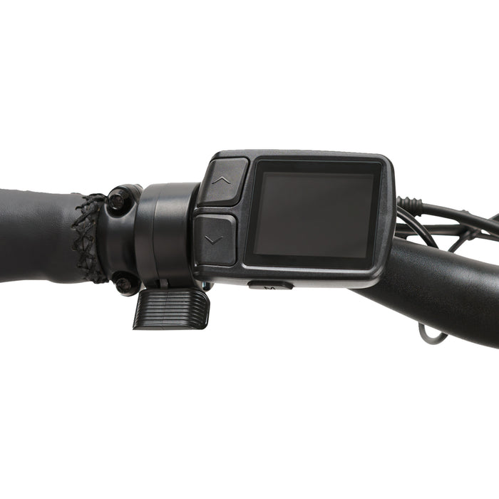 IGO ELECTRIC BIKES 4901-0017 100-222-000 Discovery LS E-Bike Discovery Yorkville LS E-Bike - Platinum - Hybrid