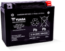 Yuasa Battery YUAM7250H Yuasa YTX24HL Maintenance Free AGM 12-Volt Battery - User 1