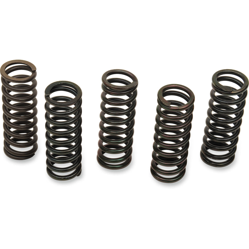 Barnett Spring Set - 501-61-05079 Triumph Daytona 1200 1995-1996
