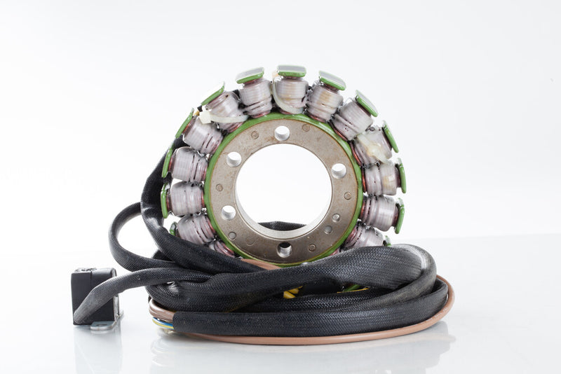 Rick's Motorsport Electric 27-21560 21-560 STATOR