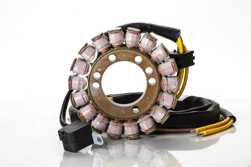 Rick's Motorsport Electric 27-21563 21-563 STATOR