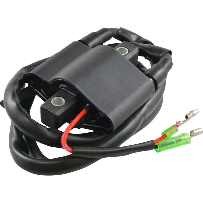 RM STATOR 2102-0493 RM06061 Ignition Coil external - arctic cat